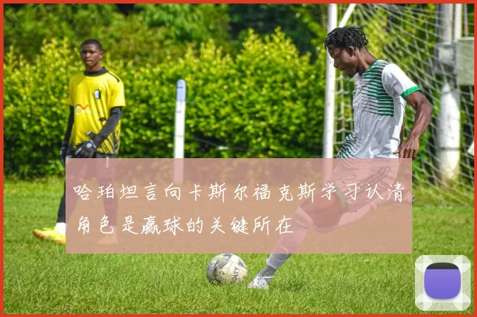 哈珀坦言向卡斯尔福克斯学习认清角色是赢球的关键所在