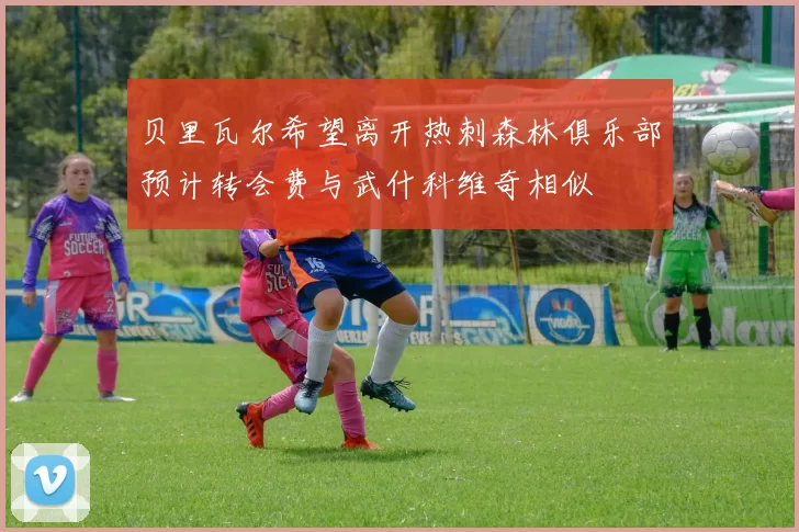 贝里瓦尔希望离开热刺森林俱乐部预计转会费与武什科维奇相似